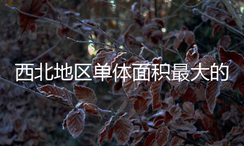西北项目面积疗建地区单体的医最大筑陕中二竣工附院